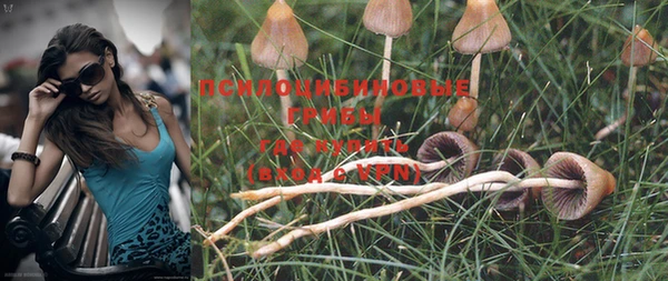 MDMA Абинск