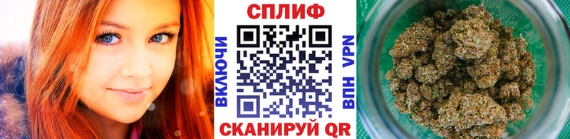 Бошки марихуана THC 21%  Сальск 